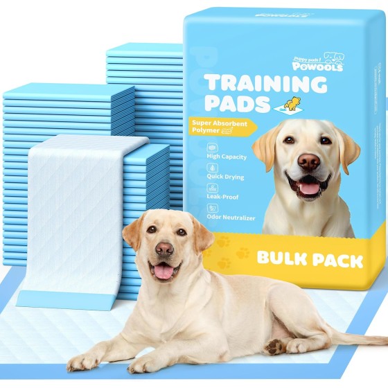 AgreeWin 100-Pack X-Large Puppy Pads - 34'' x 28'' Pee Pads for Dogs Potty Training with Leak-Proof Quick-Dry Design, 6-Layer Wee Wee Pads for Dogs, Blue